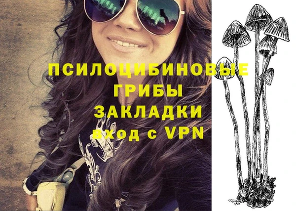 альфа пвп Армянск