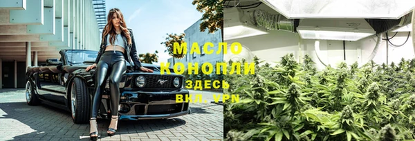 твердый Новозыбков