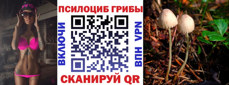 наркота  Арск  Галлюциногенные грибы прущие грибы 